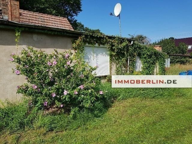 Einfamilienhaus zum Kauf 259.300 € 3 Zimmer 80 m²<br/>Wohnfläche 1.500 m²<br/>Grundstück Oranienburg Oranienburg 16515