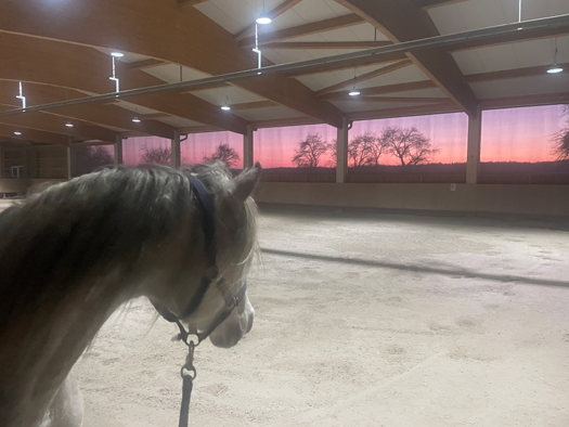 Land-/Forstwirtschaft zum Kauf 1.950.000 € 75.000 m² 5.800 m² Grundstück Dettenheim Weißenburg i. Bay. 91781