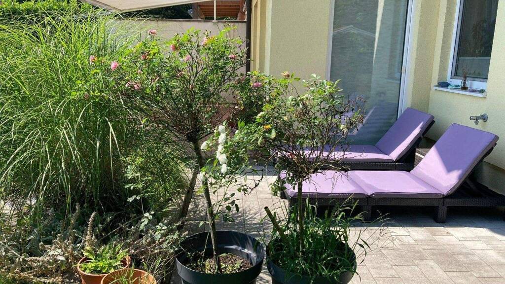 Reihenmittelhaus zum Kauf 550.000 € 3 Zimmer 87 m² 357 m² Grundstück Seekirchen am Wallersee 5201