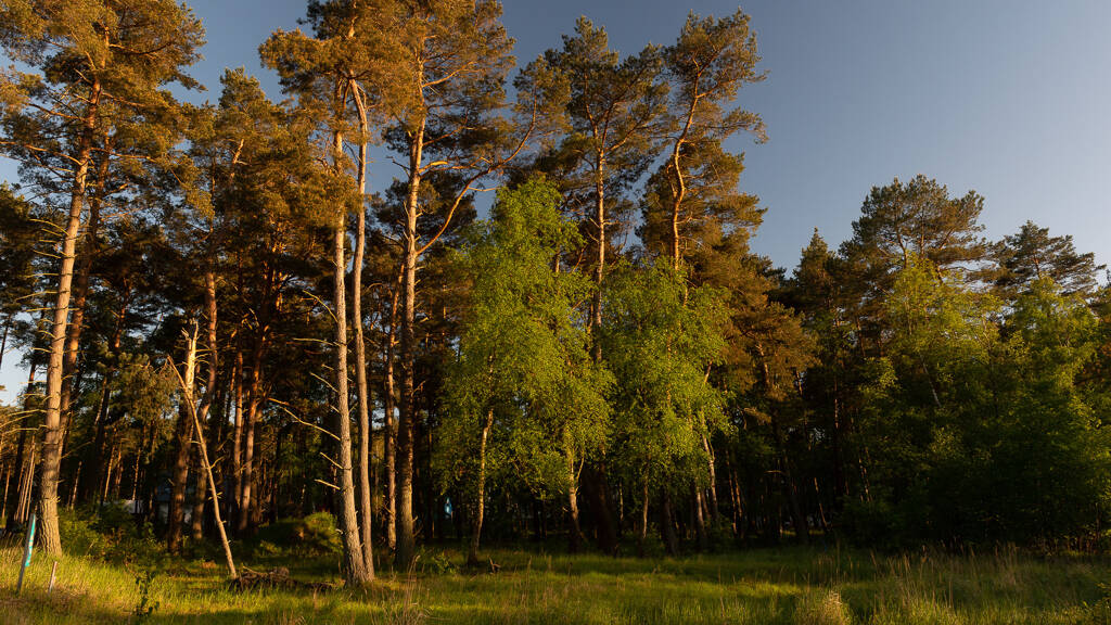 Grundstück zum Kauf 110.000 € 1.248 m² Grundstück Daglezji 264 Dziwnów 72-400