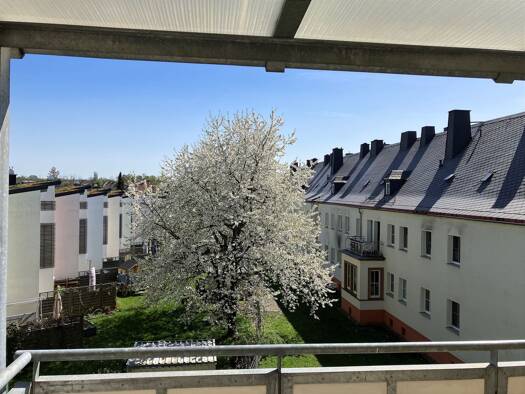 Wohnung zur Miete 340 € 2 Zimmer 55 m² 2. Geschoss Reichenbrander Straße 16 Reichenbrand Reichenbrand 09117