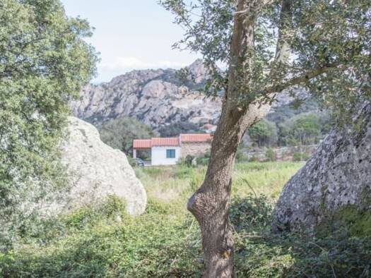 Rustico zum Kauf 530.000 € 4 Zimmer 90 m² 30.000 m² Grundstück frei ab sofort Sant Antonio di Gallura