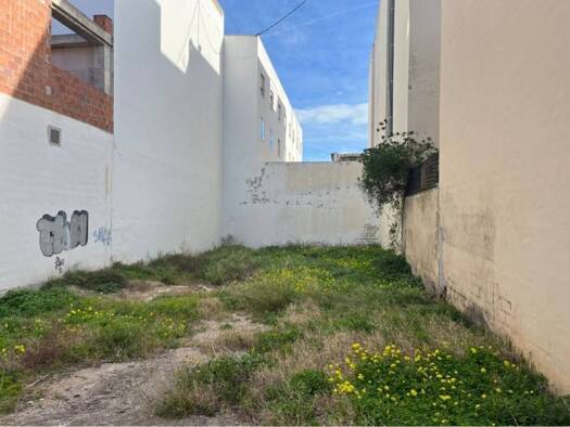 Acker-/Waldstück zum Kauf 115.000 € Ondara 03760