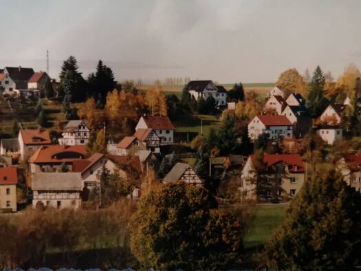 Einfamilienhaus zum Kauf provisionsfrei 50.000 € 4 Zimmer 80 m² 630 m² Grundstück Steingrube 19 Remse 08373