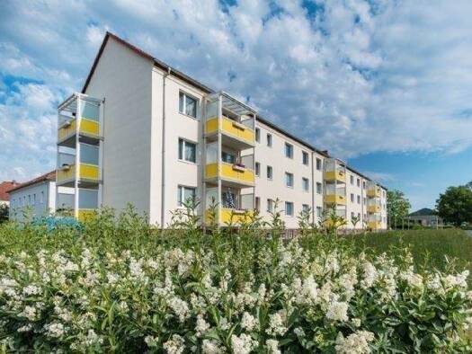 Wohnung zur Miete 290 € 2 Zimmer 48 m² EG Straße der Einheit 26 Oschatz 04758