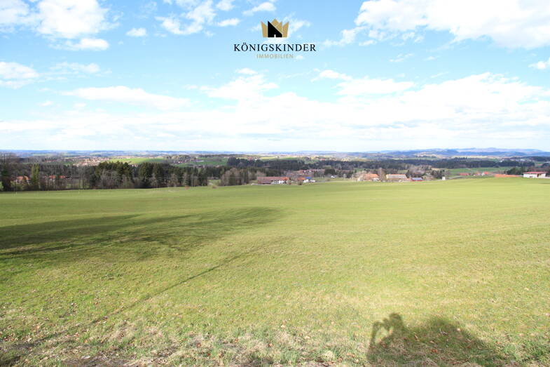 Grundstück zum Kauf 1.800 m² Grundstück frei ab sofort Goßholz Lindenberg i. Allgäu 88161