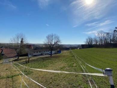 Grundstück zum Kauf 275.000 € 3.300 m² Grundstück Oberwittighausen Wittighausen 97957