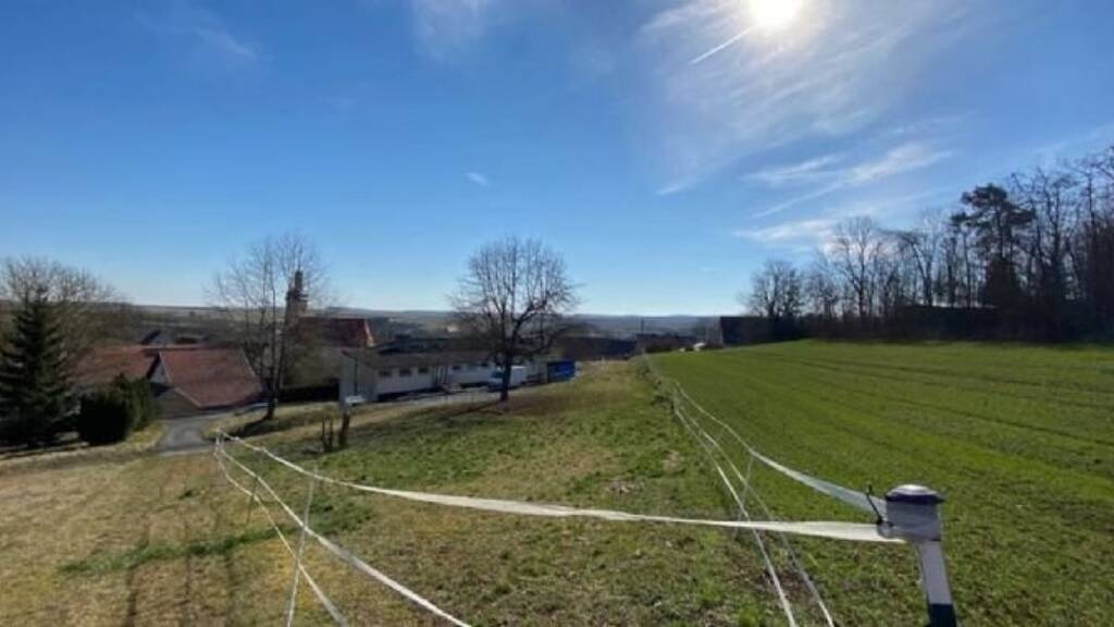 Grundstück zum Kauf 275.000 € 3.300 m² Grundstück Oberwittighausen Wittighausen 97957