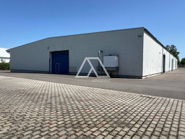 Halle/Industriefläche zur Miete provisionsfrei 3,40 € 2.660 m² Lagerfläche teilbar ab 2.660 m² Queis Landsberg 06188