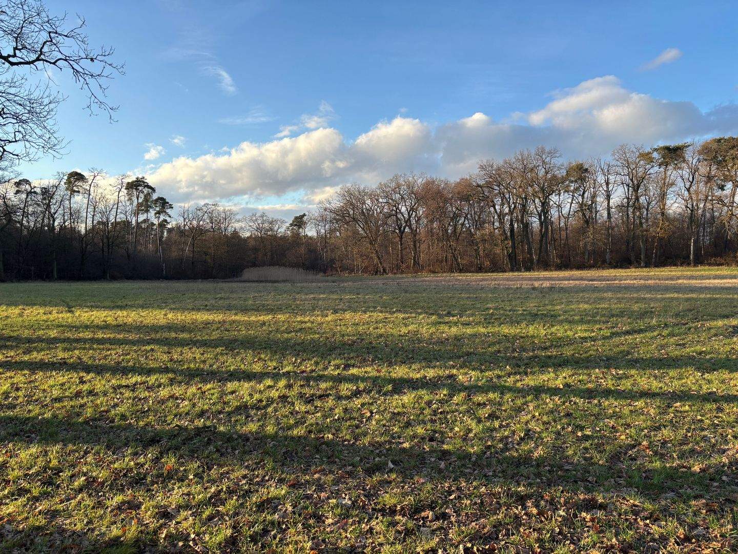Landwirtschaftliche Fläche zum Kauf - Ansicht 2