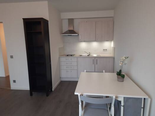 Wohnung zur Miete 550 € 2 Zimmer 42 m² frei ab sofort Blitzenreute Fronreute 88273
