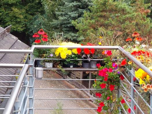 Wohnung zur Miete 500 € 4 Zimmer 125 m² Geschoss 1/2 frei ab sofort Schinkel Osnabrück 49084