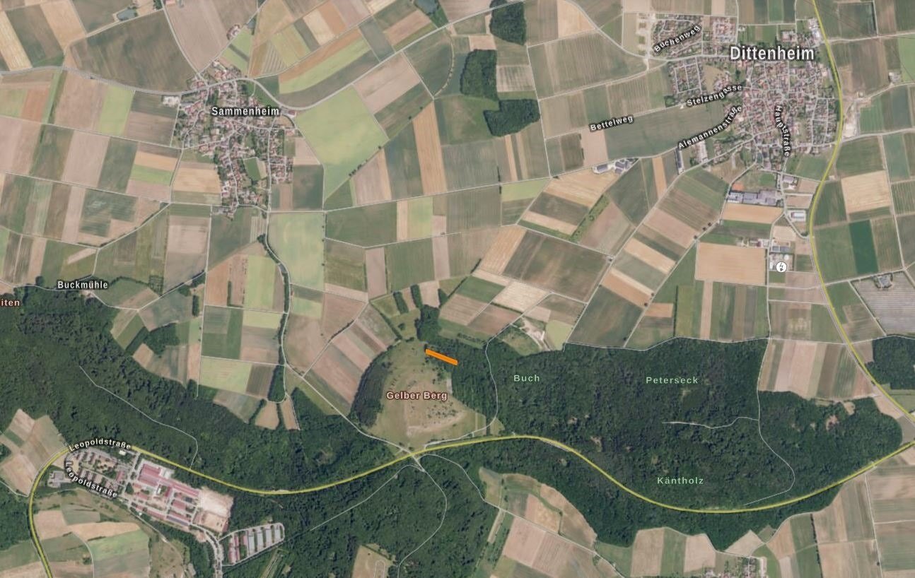 Land-/Forstwirtschaft zum Kauf 7.980 € 2.660 m²<br/>Grundstück Dittenheim Dittenheim 91723