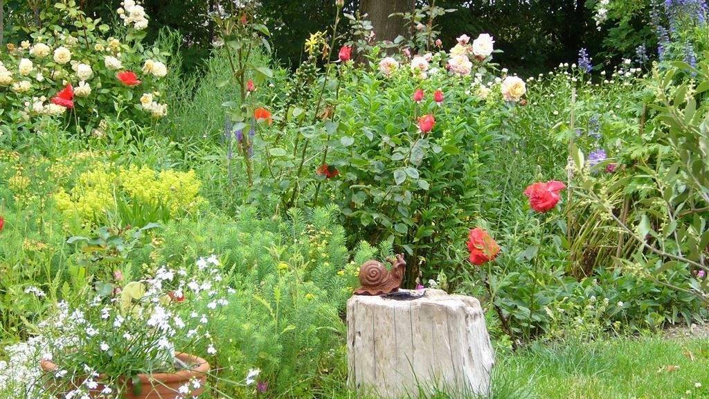 Grundstück zum Kauf 199.000 € 1.535 m² Grundstück Neukloster Neukloster , Meckl 23992