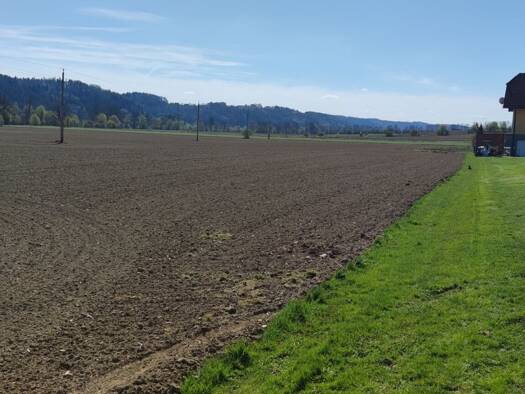 Gewerbegrundstück zum Kauf 20.000 m² Grundstück Hauptstrasse Heiligenkreuz am Waasen 8081