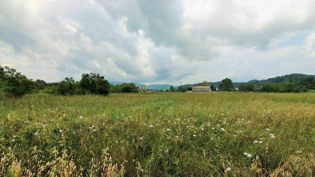 Land-/Forstwirtschaft zum Kauf 135.000 € 2.300 m² Grundstück Korfu