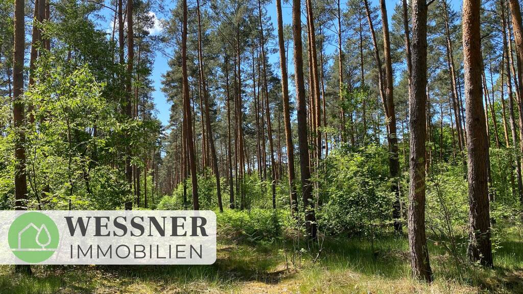 Land-/Forstwirtschaft zum Kauf 259.000 € 191.309 m² Grundstück Dallgow Dallgow-Döberitz 14624