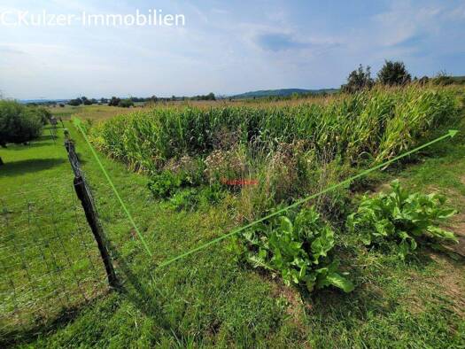 Land-/Forstwirtschaft zum Kauf 6.500 € 1.272 m² Grundstück Fischingen 79592