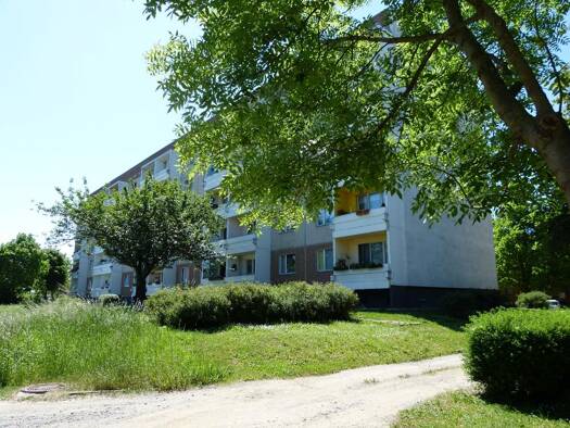 Wohnung zur Miete 319 € 3 Zimmer 60,9 m² 1. Geschoss Gatersleben Seeland 06466