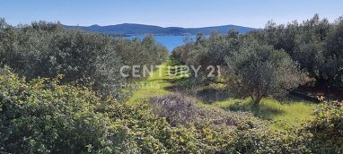 Land-/Forstwirtschaft zum Kauf 320.000 € Biograd na Moru center