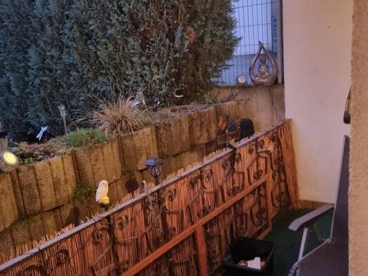 Wohnung zur Miete 675 € 3 Zimmer 90 m² frei ab 01.04.2026 Konz 54329