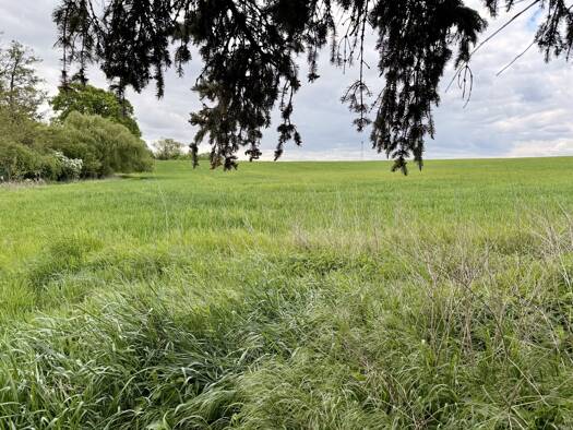Grundstück zum Kauf 356.796 € 1.122 m² Grundstück Lindenberg Ahrensfelde 16356