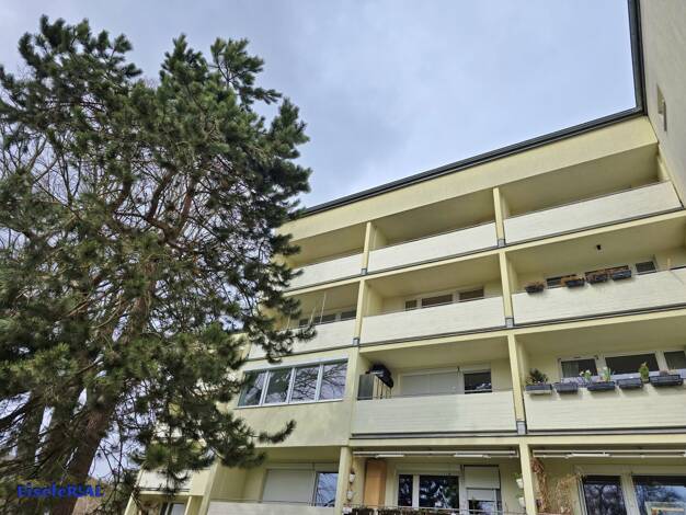 Studio zum Kauf 140.000 € 1 Zimmer 34 m² Breitenfurt bei Wien 2384