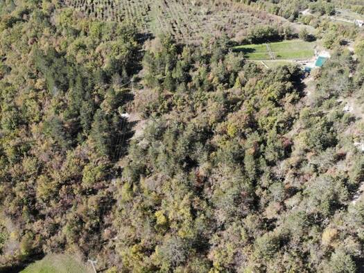 Acker-/Waldstück zum Kauf 10.250 € Buzet Buzet 52420