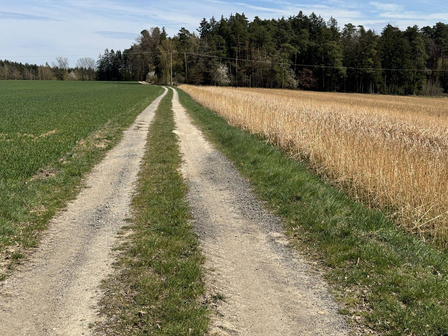 Land-/Forstwirtschaft zum Kauf - Ansicht 3
