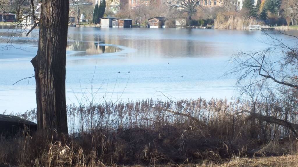 Grundstück zur Miete 250 € 500 m² Grundstück Baugenehmigung vorhanden frei ab sofort Fürstenberg/Havel 16798