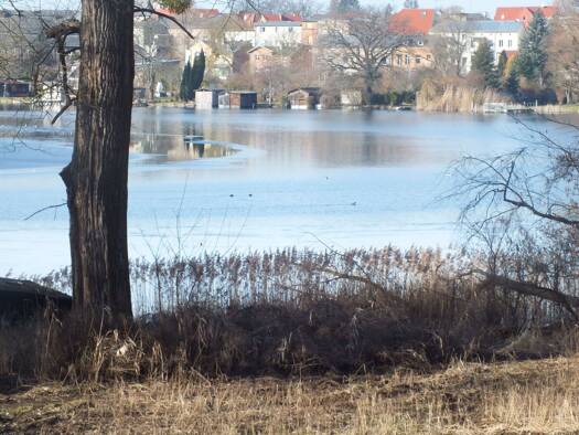 Grundstück zur Miete 250 € 500 m² Grundstück Baugenehmigung vorhanden frei ab sofort Fürstenberg/Havel Fürstenberg/Havel 16798