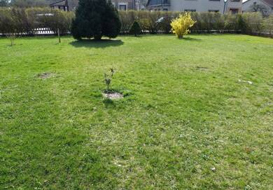 Grundstück zum Kauf 178.000 € 803 m² Grundstück Prieros Heidesee 15754