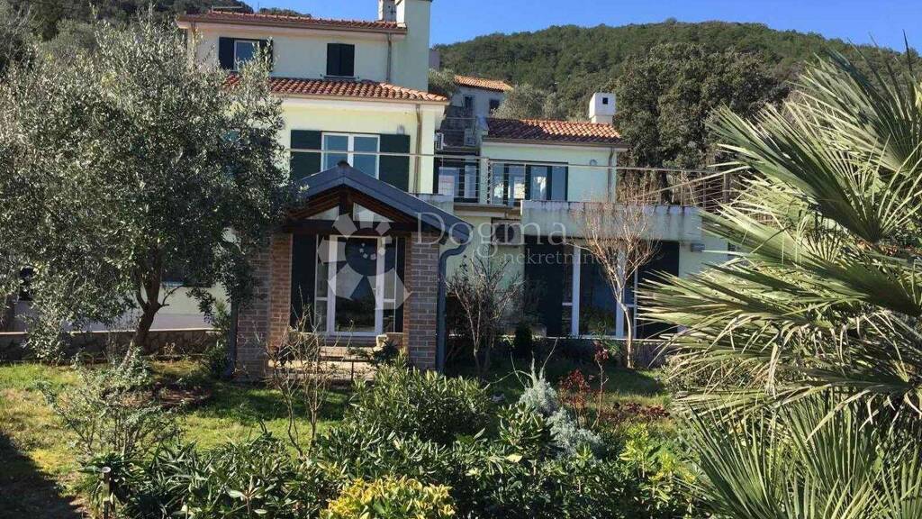 Haus zum Kauf 5 Zimmer 284 m² 692 m² Grundstück Cres 51557