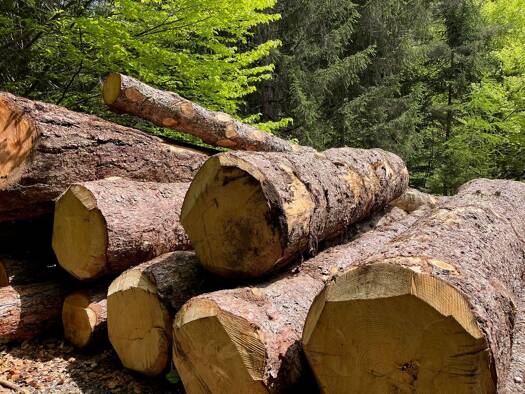 Land-/Forstwirtschaft zum Kauf 50.000 € 41.458 m² Grundstück Guhlsdorf Groß Pankow (Prignitz) 16928