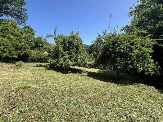 Grundstück zum Kauf 79.000 € 528 m² Grundstück Hüttenbach 91245