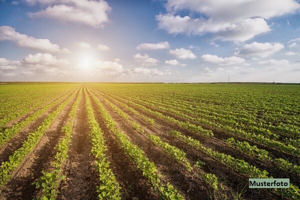 Land-/Forstwirtschaft zum Kauf 81.000 € Knappenfeld Siegsdorf 83313