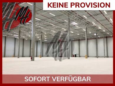 Halle/Industriefläche zur Miete provisionsfrei 10.200 m² Lagerfläche Duisburg 47167