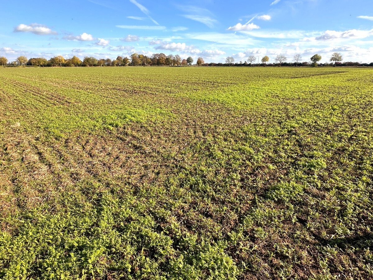 Landwirtschaftliche Fläche zum Kauf 45.783 m²<br/>Fläche 45.783 m²<br/>Grundstück Frauwüllesheim Nörvenich 52388