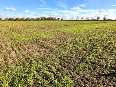 Landwirtschaftliche Fläche zum Kauf 45.783 m² 45.783 m² Grundstück Frauwüllesheim Nörvenich 52388