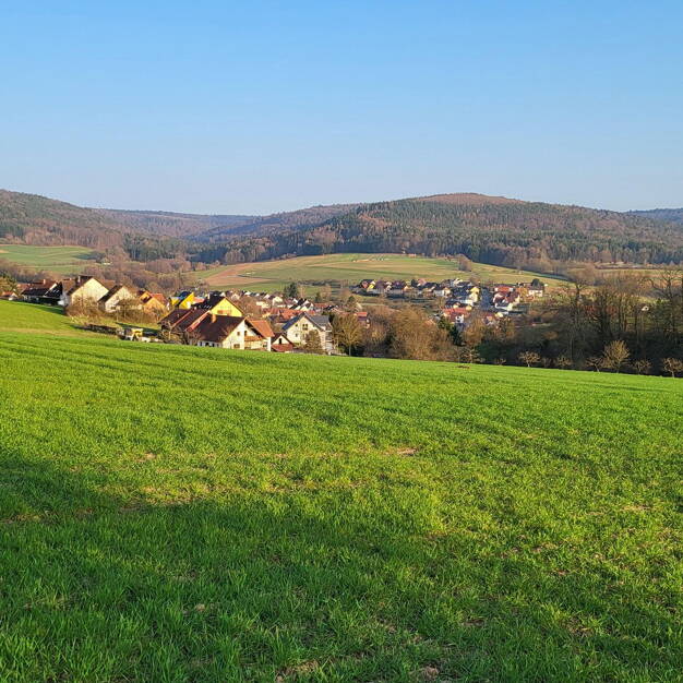 Grundstück zum Kauf provisionsfrei 695.000 € 730 m² Grundstück Schöllkrippen Schöllkrippen 63828