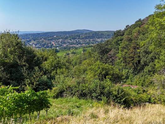 Haus zum Kauf 1.290.000 € 6 Zimmer 162 m² 2.586 m² Grundstück Wien 1190