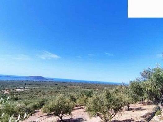 Grundstück zum Kauf 250.000 € 9.021 m² Grundstück Municipality of Trifylia 24400