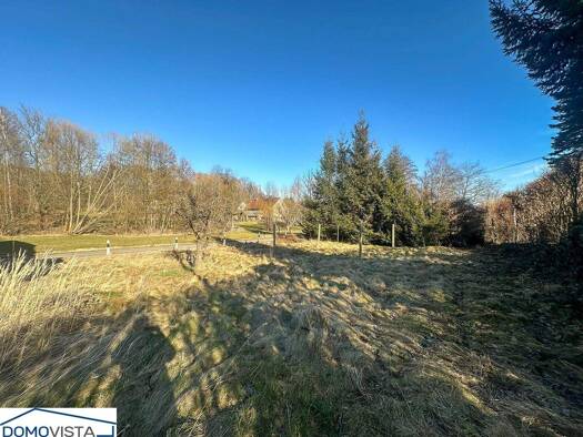 Einfamilienhaus zum Kauf 107.000 € 12 Zimmer 250 m² 1.171 m² Grundstück Dorfstraße 126 Königshain 02829