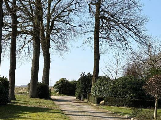 Bauernhaus zum Kauf provisionsfrei 488.000 € 190 m² 12.000 m² Grundstück Sennlich Westerkappeln 49492