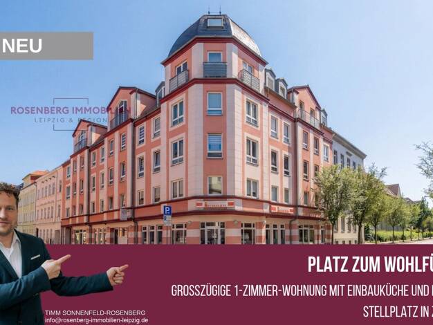 Wohnung zur Miete 475 € 1 Zimmer 55,5 m² EG Scheringerstraße 13 Bahnhofsvorstadt Zwickau 08056