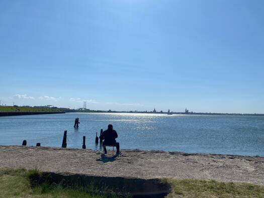 Grundstück zum Kauf provisionsfrei 1.245.000 € 7.858 m² Grundstück Am Bahnhof 2c Altefähr 18573