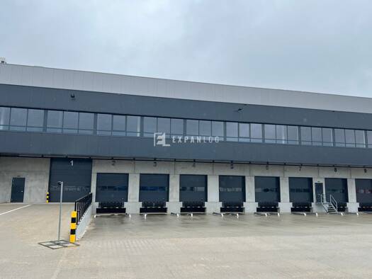 Lagerhalle zur Miete 10.000 m² Lagerfläche Stadtmitte Düsseldorf 40549