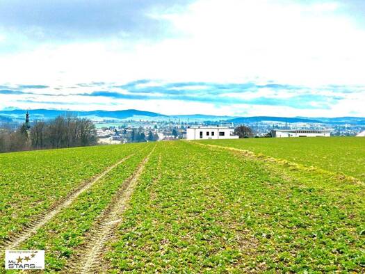 Grundstück zum Kauf 230.000 € 1.466 m² Grundstück Tumeltsham 4911