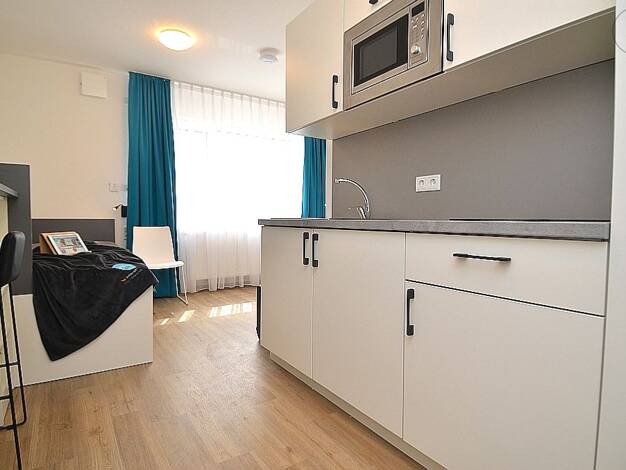 Studio zur Miete auf Zeit 619 € 1 Zimmer 20 m² frei ab 01.06.2026 Innenstadt Aschaffenburg 63739