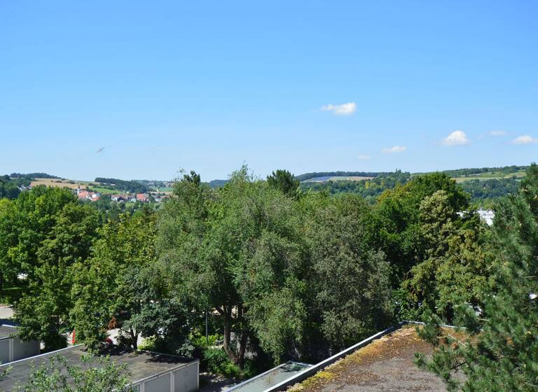 Immobilie zum Kauf als Kapitalanlage geeignet 250.000 € 2 Zimmer Westenviertel Regensburg 93049